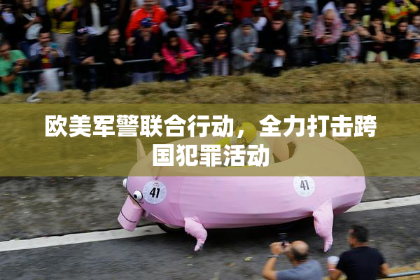 欧美军警联合行动，全力打击跨国犯罪活动