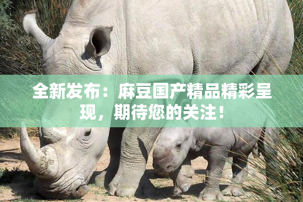 全新发布：麻豆国产精品精彩呈现，期待您的关注！