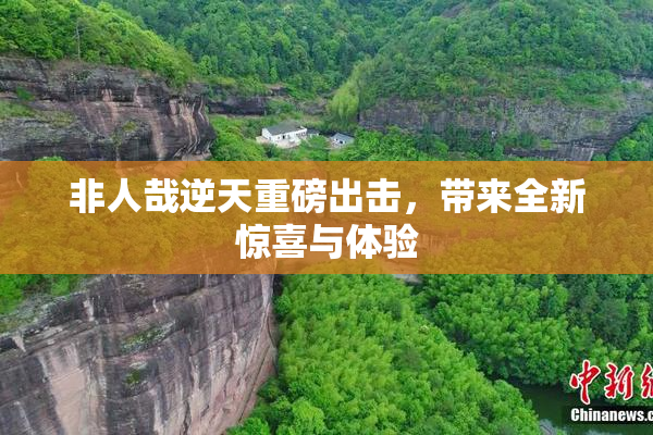 非人哉逆天重磅出击，带来全新惊喜与体验