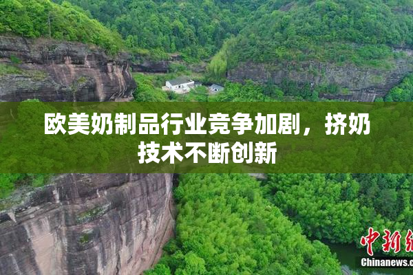 欧美奶制品行业竞争加剧，挤奶技术不断创新
