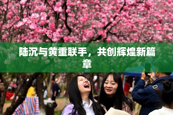 陆沉与黄重联手，共创辉煌新篇章