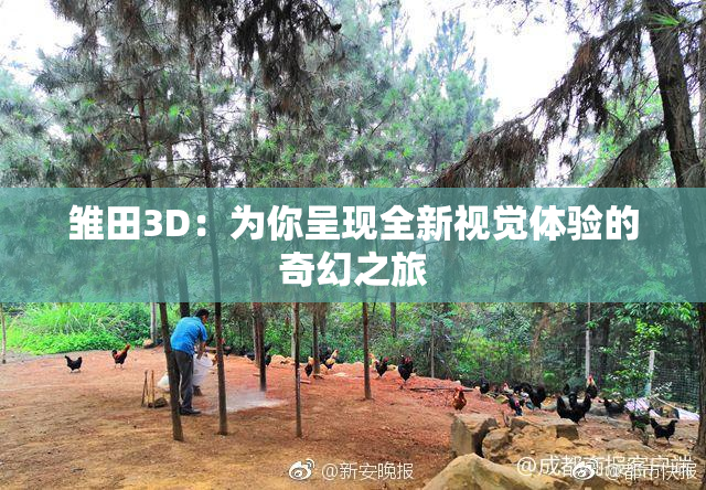 雏田3D：为你呈现全新视觉体验的奇幻之旅