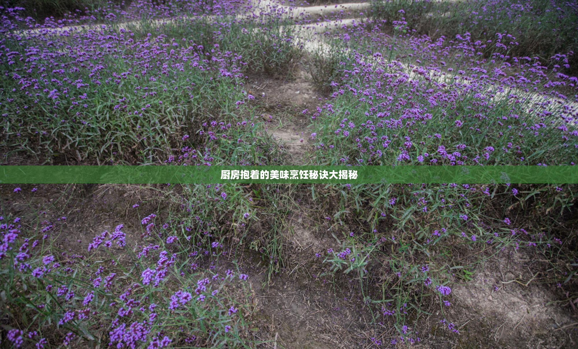 厨房抱着的美味烹饪秘诀大揭秘