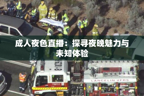 成人夜色直播：探寻夜晚魅力与未知体验