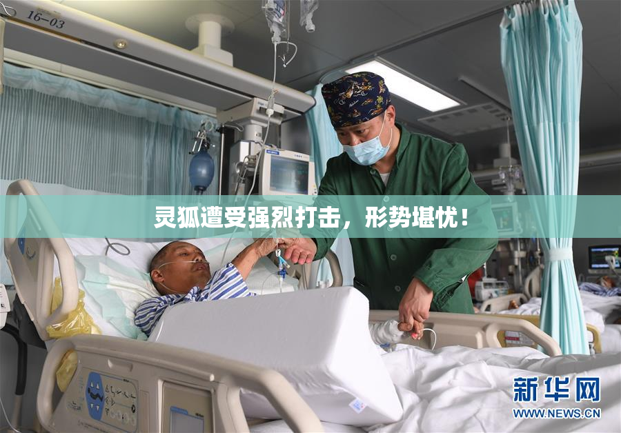 灵狐遭受强烈打击，形势堪忧！