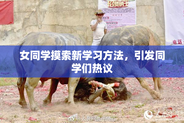女同学摸索新学习方法，引发同学们热议