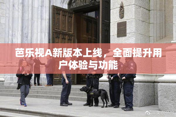 芭乐视A新版本上线，全面提升用户体验与功能