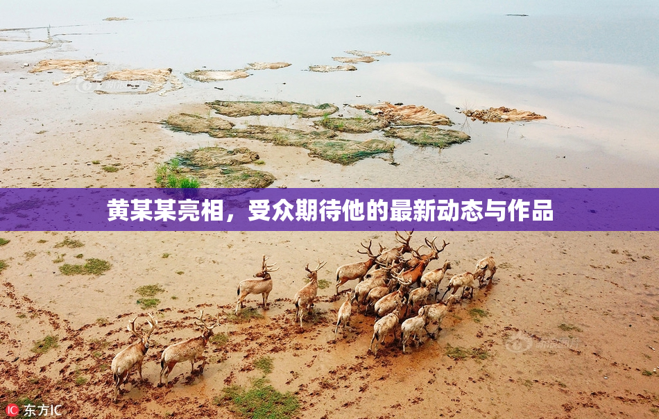 黄某某亮相，受众期待他的最新动态与作品