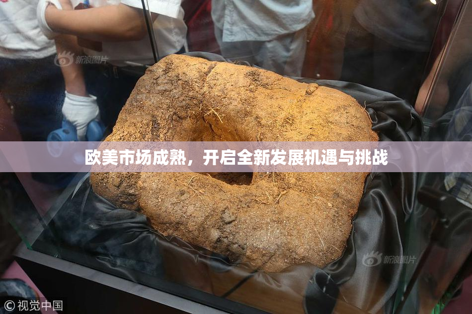 欧美市场成熟，开启全新发展机遇与挑战