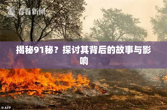 揭秘91秘？探讨其背后的故事与影响