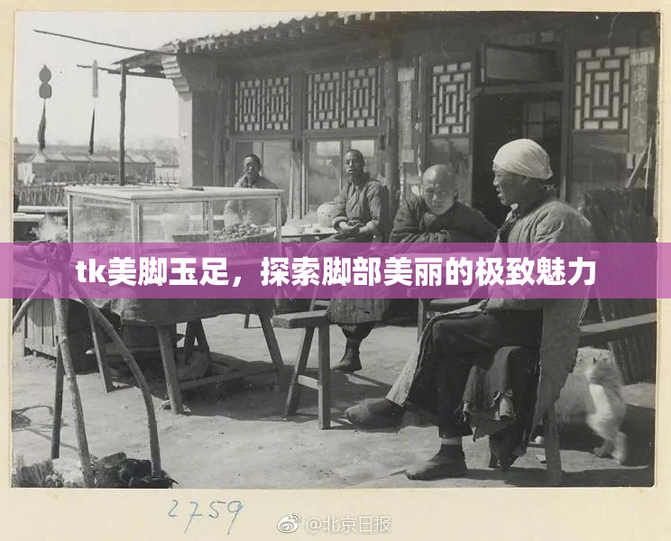 tk美脚玉足，探索脚部美丽的极致魅力