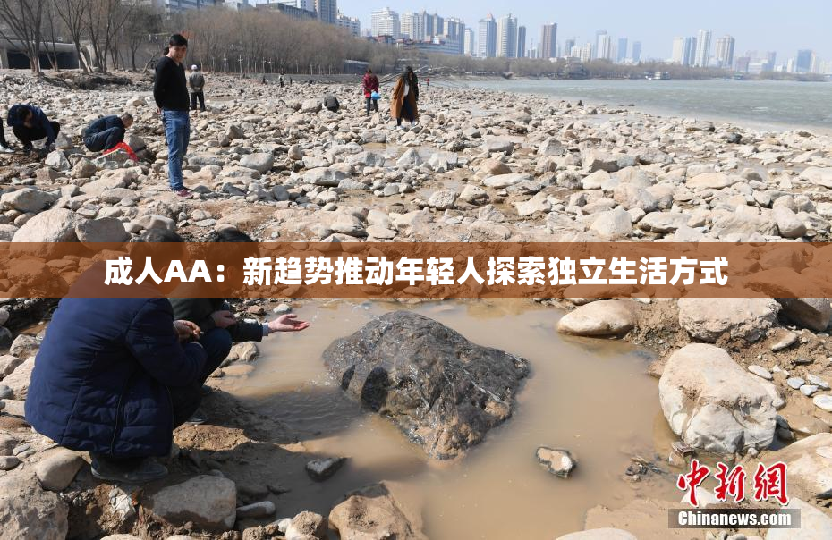 成人AA：新趋势推动年轻人探索独立生活方式