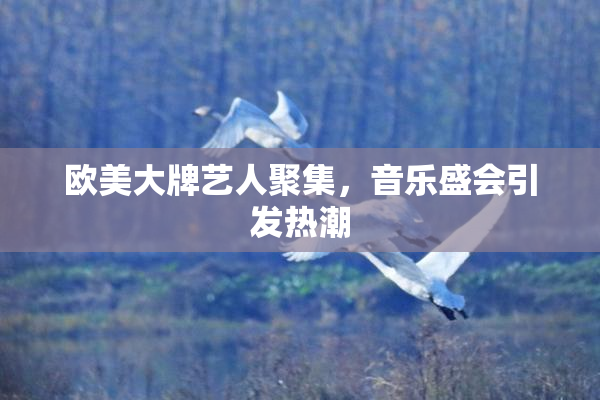 欧美大牌艺人聚集，音乐盛会引发热潮