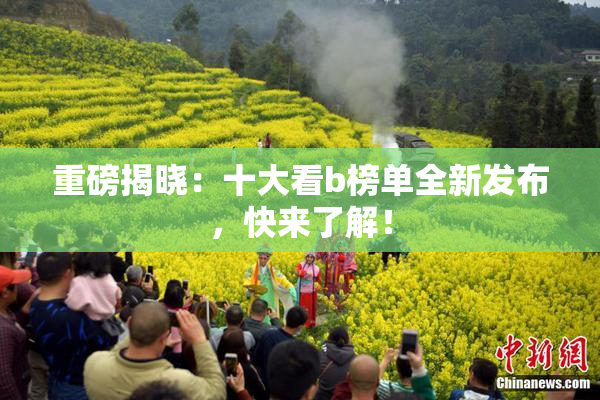 重磅揭晓：十大看b榜单全新发布，快来了解！