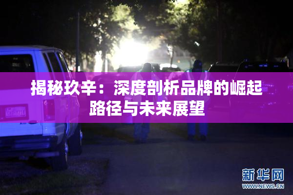 揭秘玖辛：深度剖析品牌的崛起路径与未来展望