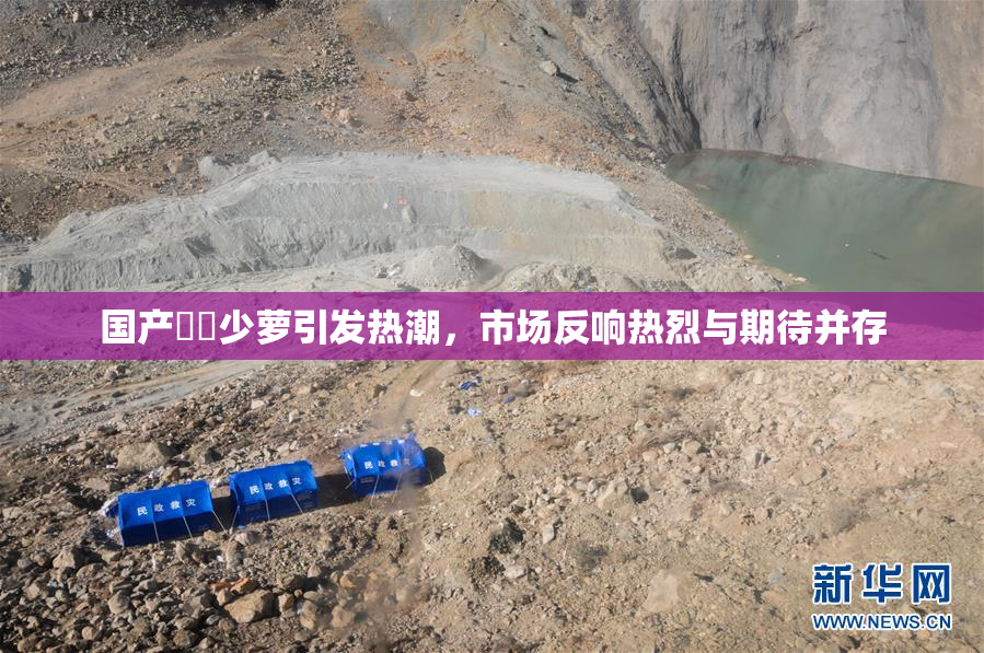 国产❌‌少萝引发热潮，市场反响热烈与期待并存