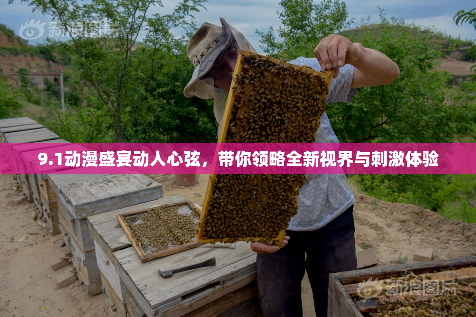 9.1动漫盛宴动人心弦，带你领略全新视界与刺激体验