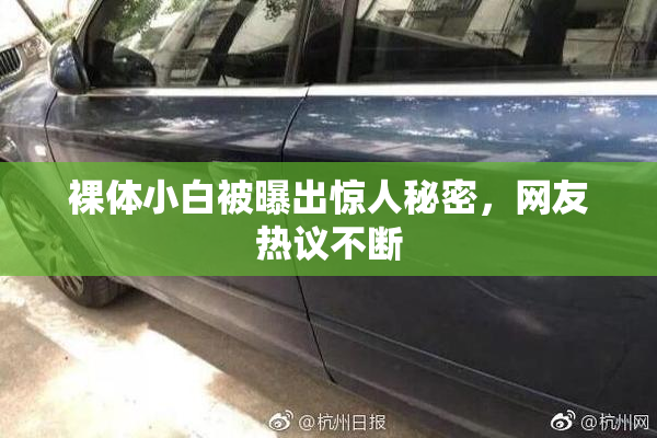 裸体小白被曝出惊人秘密，网友热议不断