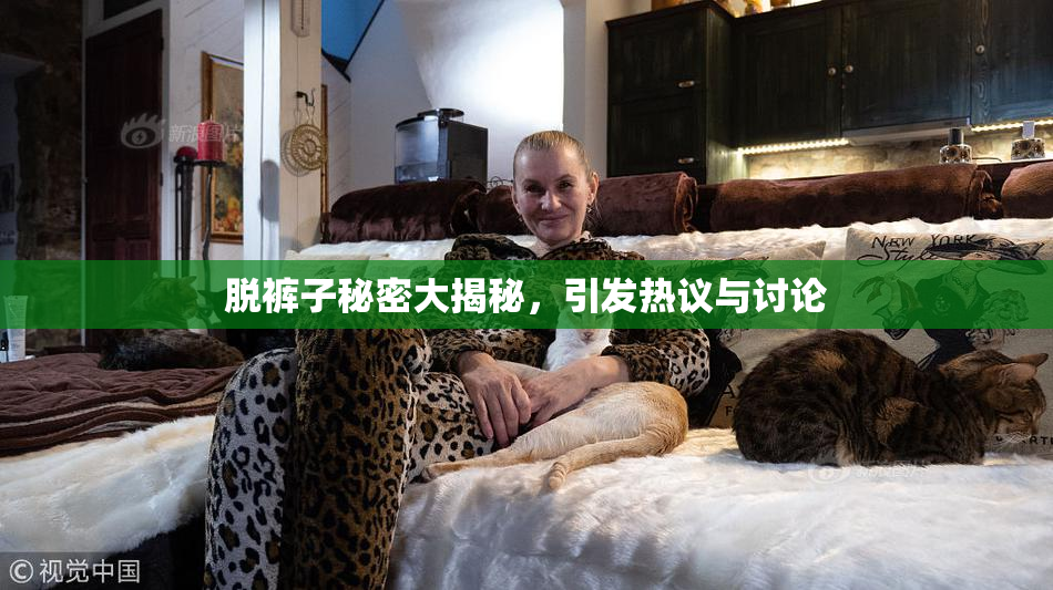 脱裤子秘密大揭秘，引发热议与讨论
