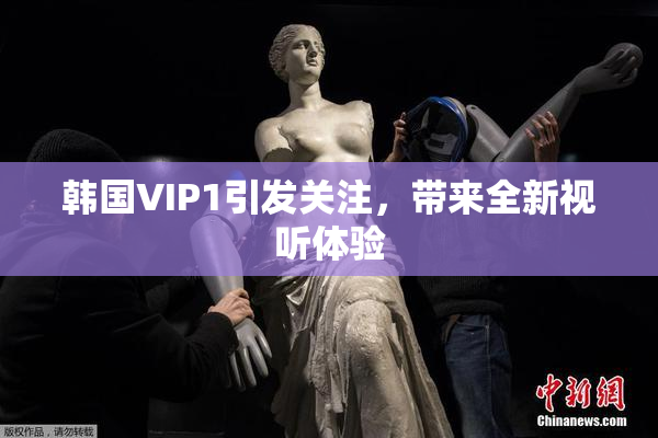 韩国VIP1引发关注，带来全新视听体验