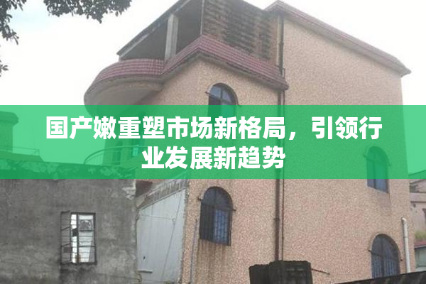 国产嫩重塑市场新格局，引领行业发展新趋势