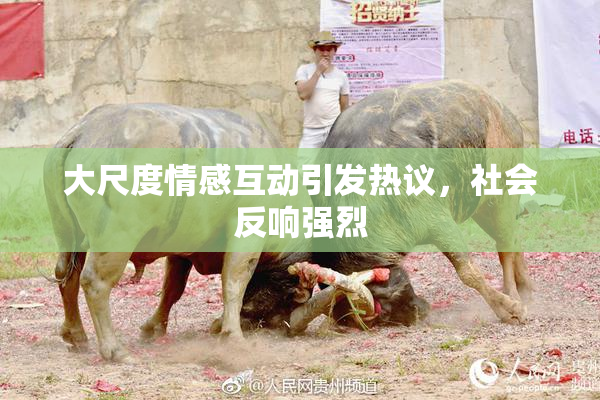 大尺度情感互动引发热议，社会反响强烈