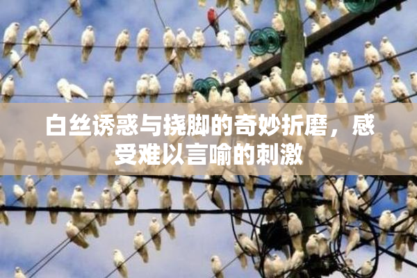 白丝诱惑与挠脚的奇妙折磨，感受难以言喻的刺激