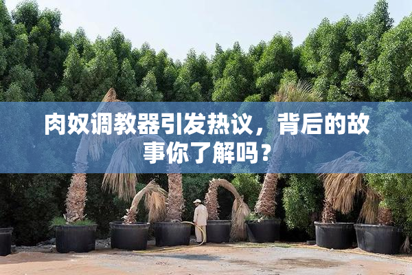 肉奴调教器引发热议，背后的故事你了解吗？