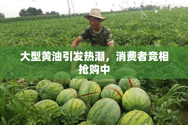 大型黄油引发热潮，消费者竞相抢购中