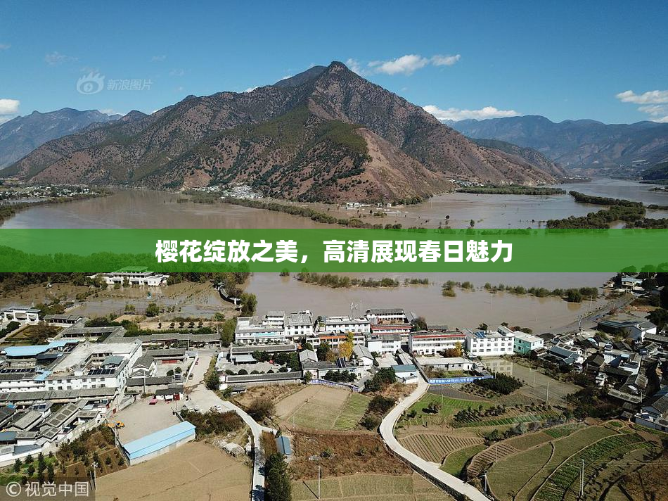 樱花绽放之美，高清展现春日魅力