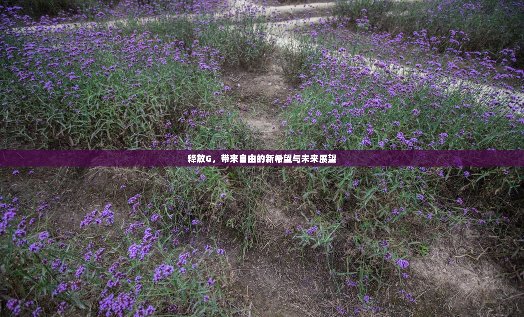 释放G，带来自由的新希望与未来展望