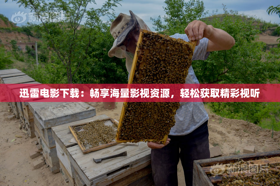 迅雷电影下载：畅享海量影视资源，轻松获取精彩视听