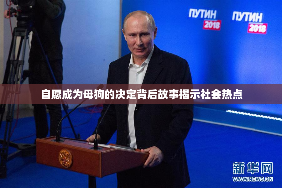 自愿成为母狗的决定背后故事揭示社会热点