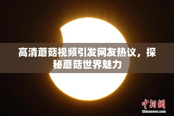高清蘑菇视频引发网友热议，探秘蘑菇世界魅力
