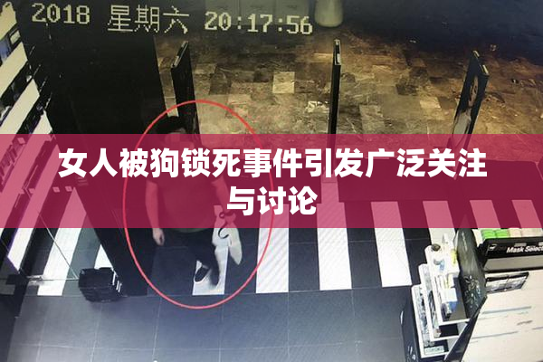 女人被狗锁死事件引发广泛关注与讨论