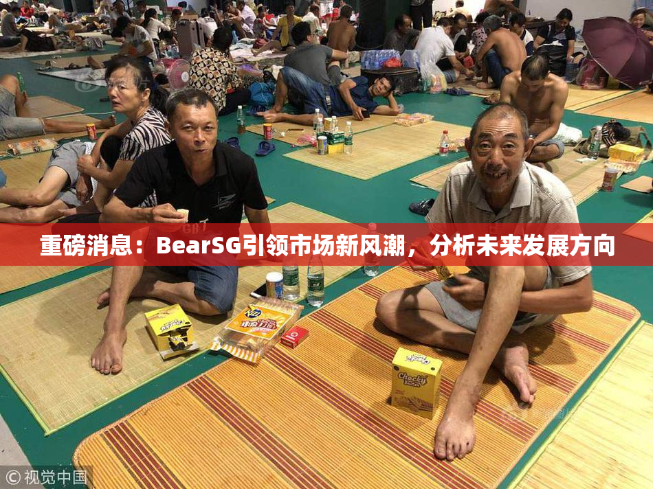 重磅消息：BearSG引领市场新风潮，分析未来发展方向