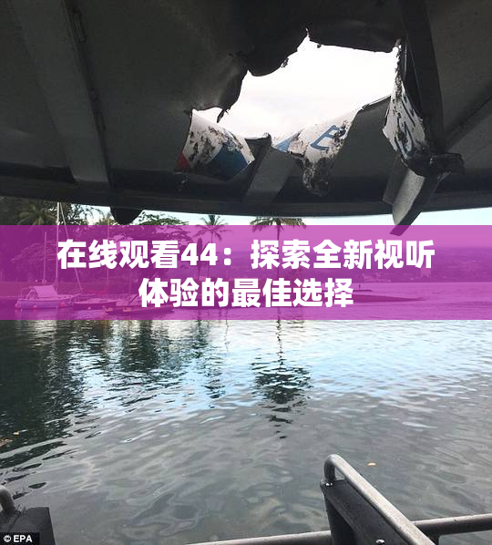 在线观看44：探索全新视听体验的最佳选择