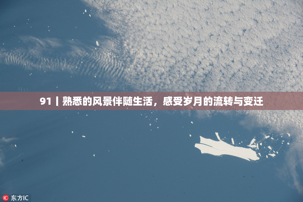 91丨熟悉的风景伴随生活，感受岁月的流转与变迁