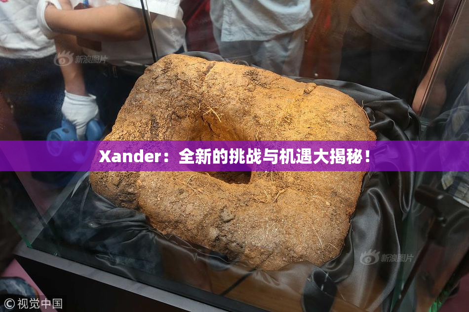 Xander：全新的挑战与机遇大揭秘！