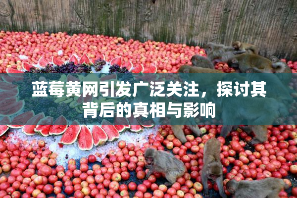蓝莓黄网引发广泛关注，探讨其背后的真相与影响