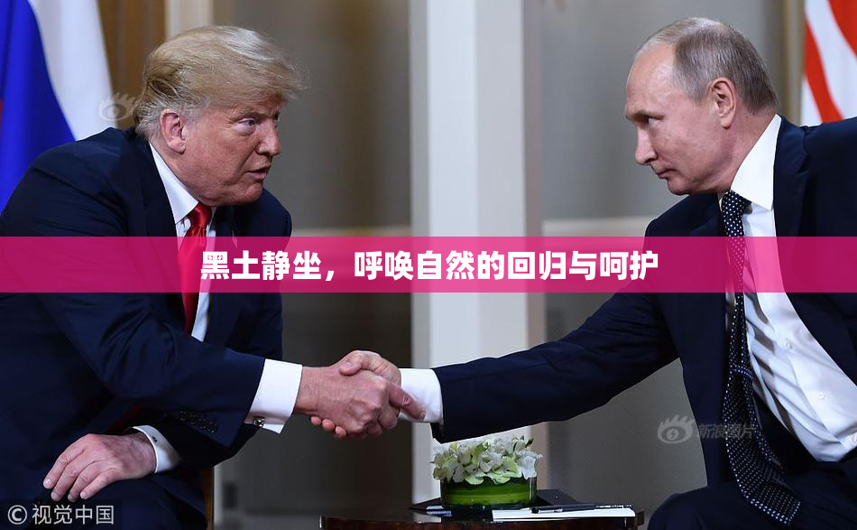 黑土静坐，呼唤自然的回归与呵护