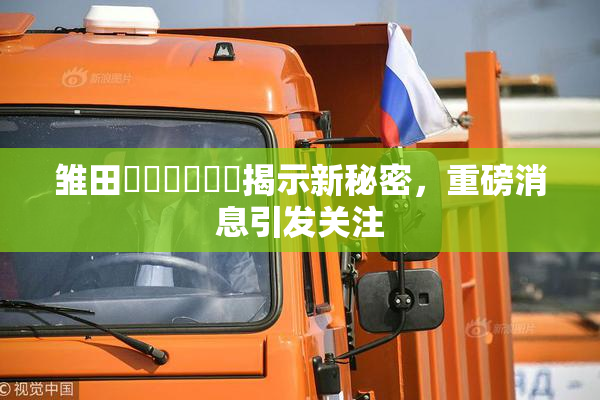 雏田❌‌❌‌❌‌揭示新秘密，重磅消息引发关注