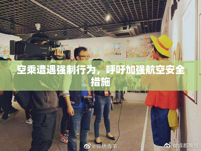 空乘遭遇强制行为，呼吁加强航空安全措施