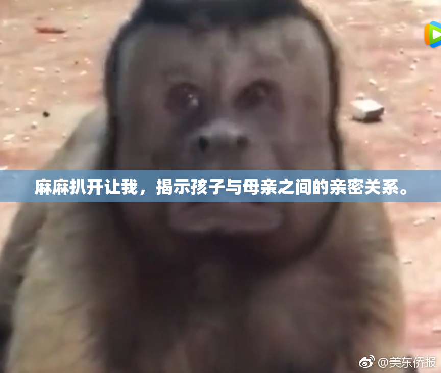 麻麻扒开让我，揭示孩子与母亲之间的亲密关系。