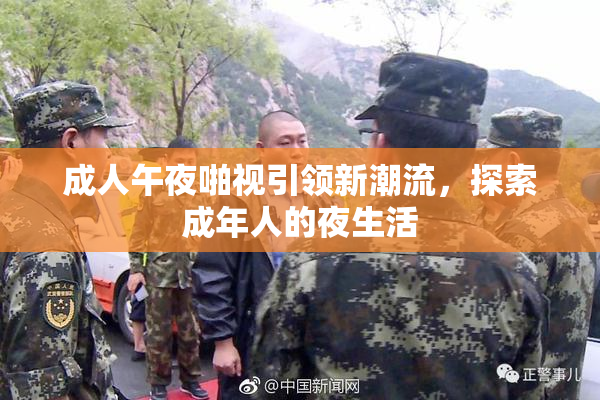 成人午夜啪视引领新潮流，探索成年人的夜生活