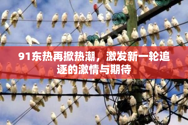 91东热再掀热潮，激发新一轮追逐的激情与期待