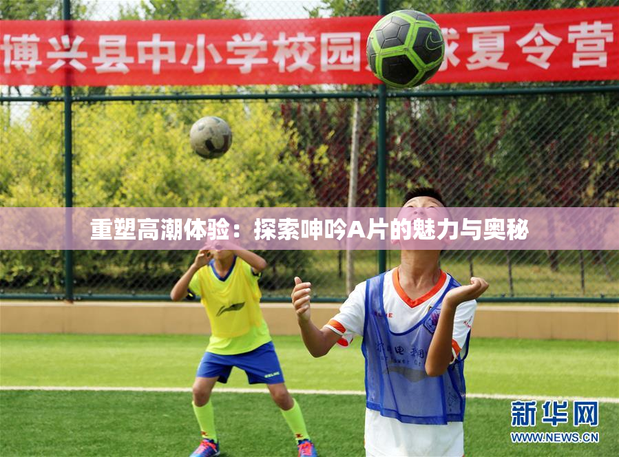 重塑高潮体验：探索呻吟A片的魅力与奥秘