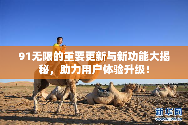 91无限的重要更新与新功能大揭秘，助力用户体验升级！