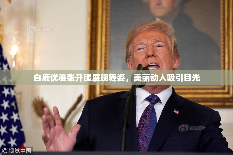 白鹿优雅张开腿展现舞姿，美丽动人吸引目光