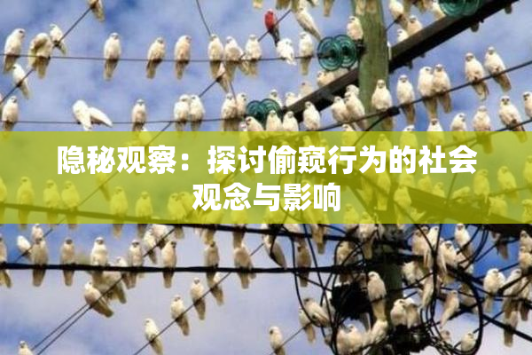 隐秘观察：探讨偷窥行为的社会观念与影响